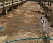 (出售) 多種經營養殖場和水庫出售，適合養殖，環境好無污染，價格面議