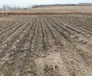 (出售) 平房出租出售,占地面積廣,可適合做養(yǎng)殖 汽配