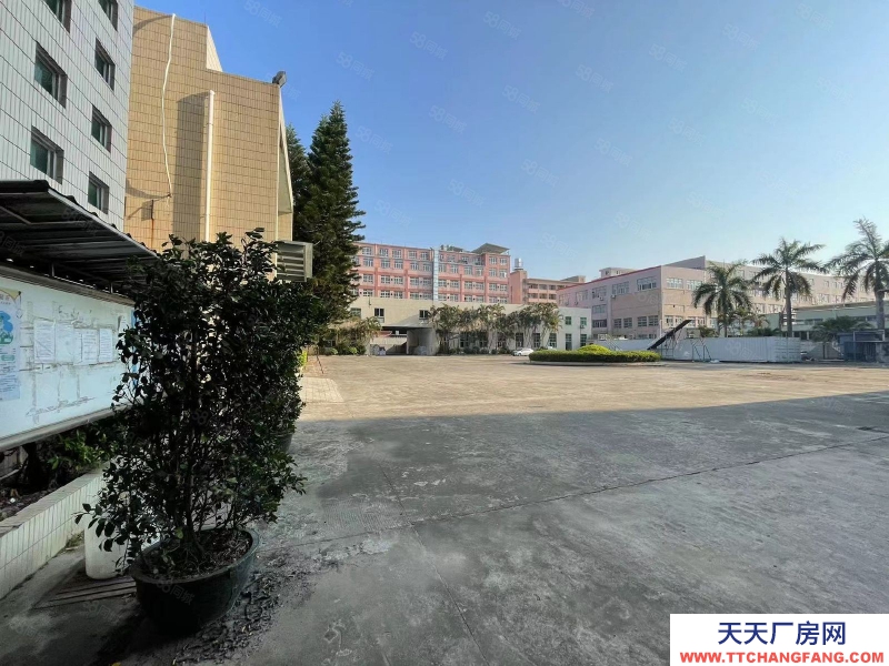 (出租) 汕頭珠津工業區整棟出租 2千平闊埕 拖頭出入方便 可分割