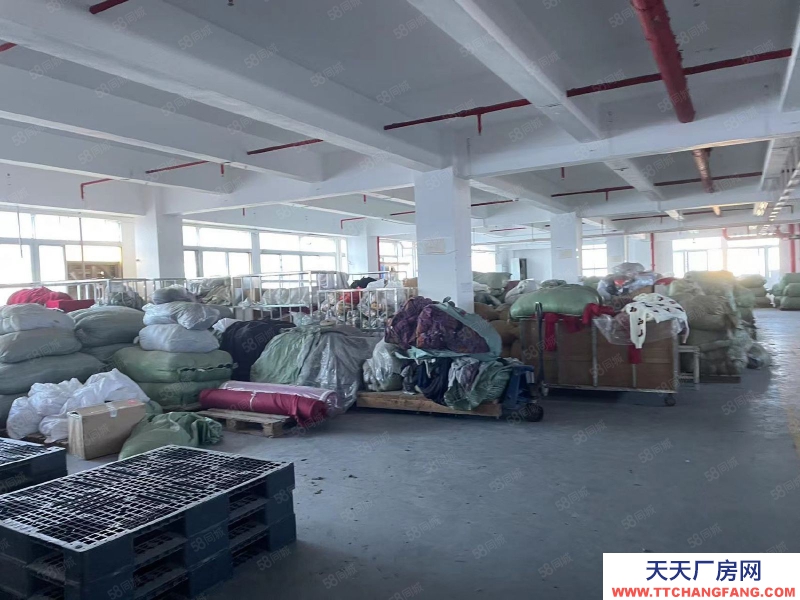 (出租) 汕頭珠津工業區整棟出租 2千平闊埕 拖頭出入方便 可分割