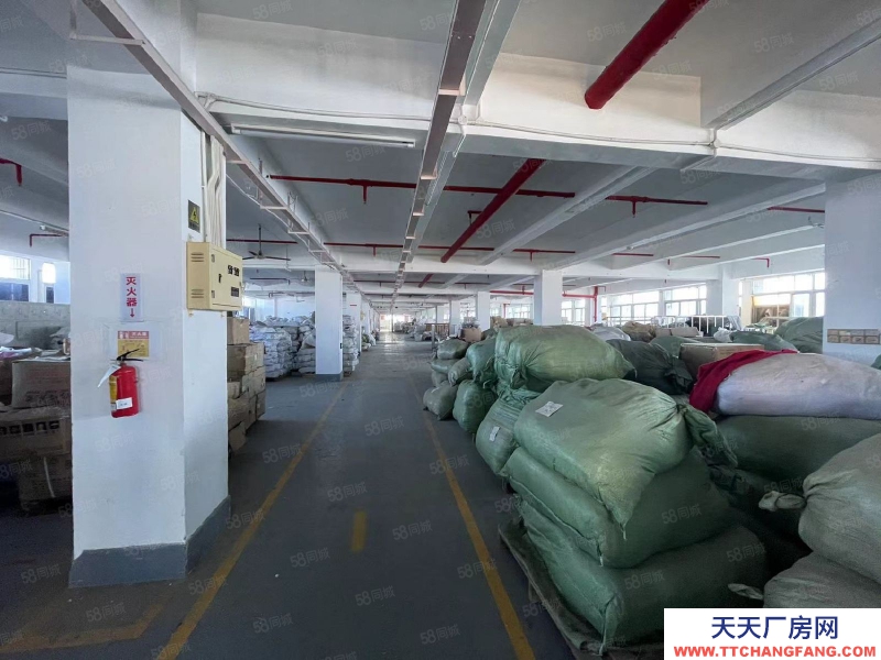 (出租) 汕頭珠津工業區整棟出租 2千平闊埕 拖頭出入方便 可分割