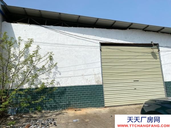 岳陽市岳陽區 價格優惠，獨門獨院，進出車方便