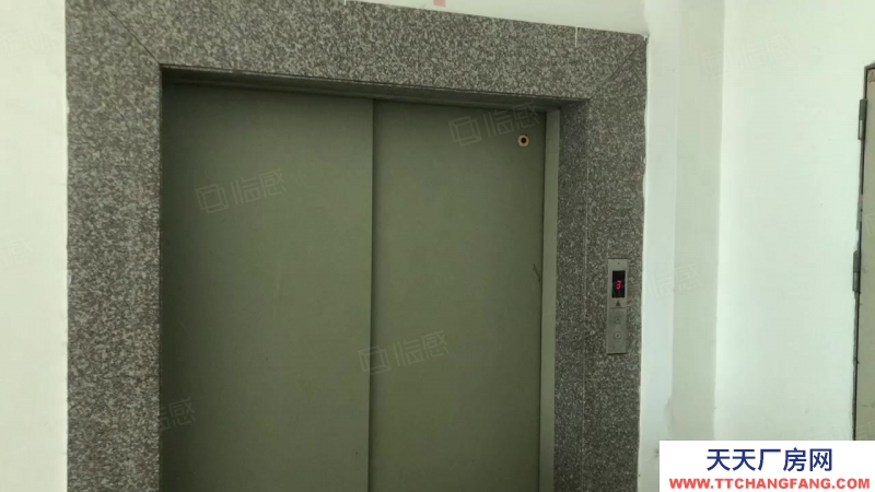 (出租) 汕頭鮀浦大學路 混泥土結構 大車可到 帶貨梯 獨立變壓器 配套齊