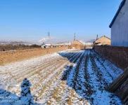 (出售) 豐滿永安村現有廠房長期出租