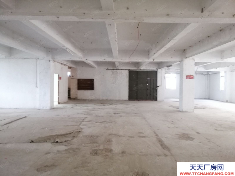 (出租) 汕頭直接業(yè)主,鳳凰山路近東廈 龍溪路 泰華工業(yè)區(qū),正規(guī)廠房