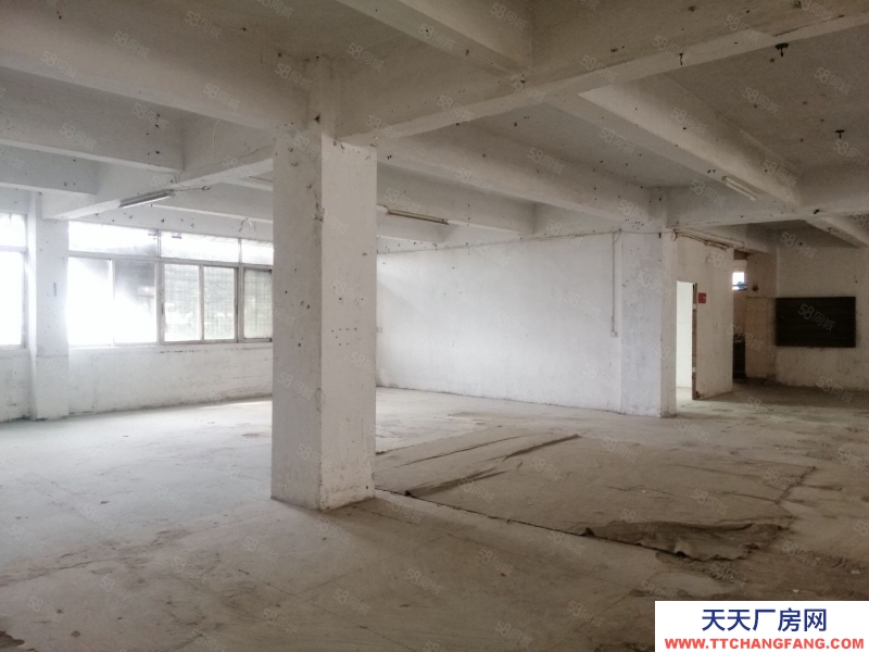 (出租) 汕頭直接業主，鳳凰山路近東廈 龍溪路 泰華工業區，正規廠房