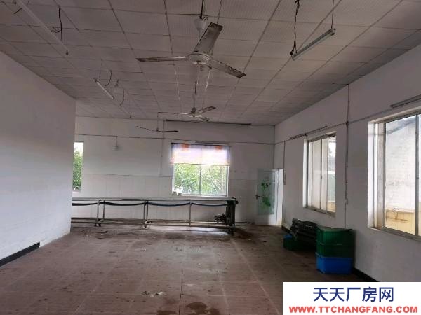 岳陽市君山區 廠房面積600平米，外部空曠，內部空間大，可塑性強！