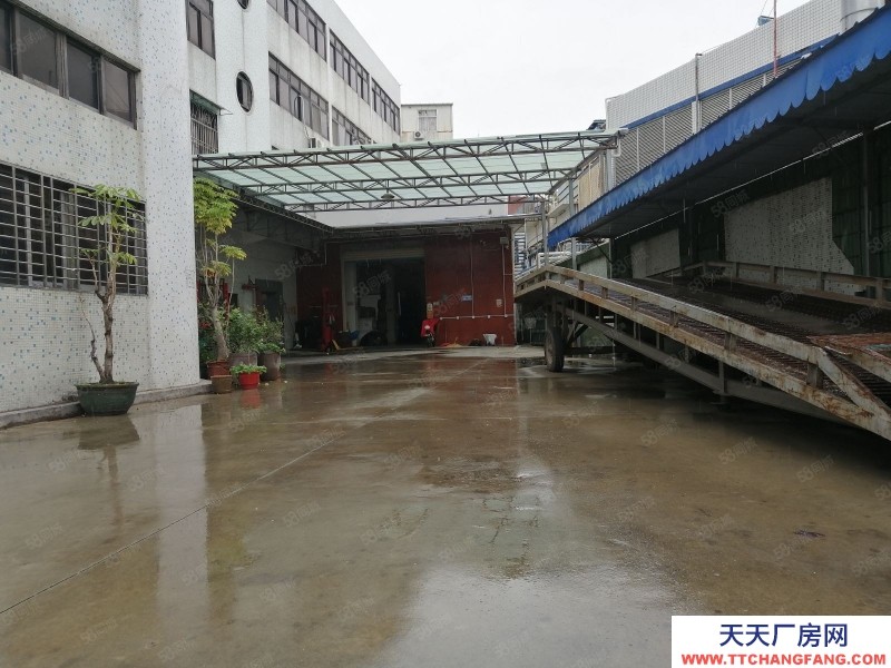 (出租) 汕頭大學(xué)路升平工業(yè)區(qū)獨立門戶二三四樓約2500平，有人貨電梯