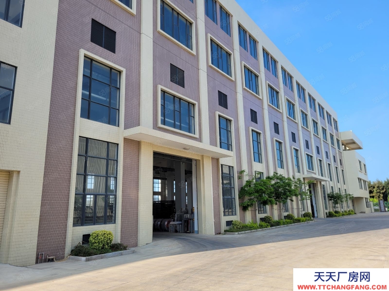 (出租) 汕頭濠江保稅區15000平可分割出租,1樓層高12米配有天車地磅