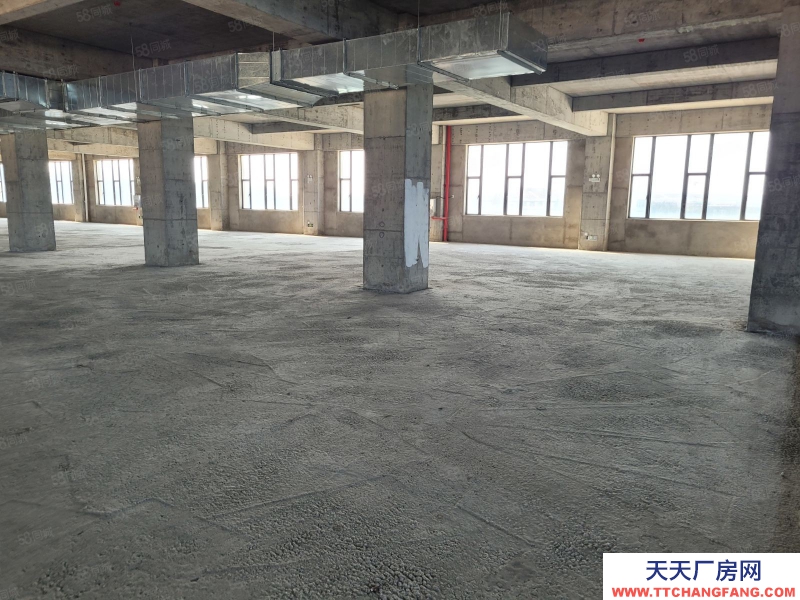 (出租) 汕頭濠江保稅區15000平可分割出租,1樓層高12米配有天車地磅