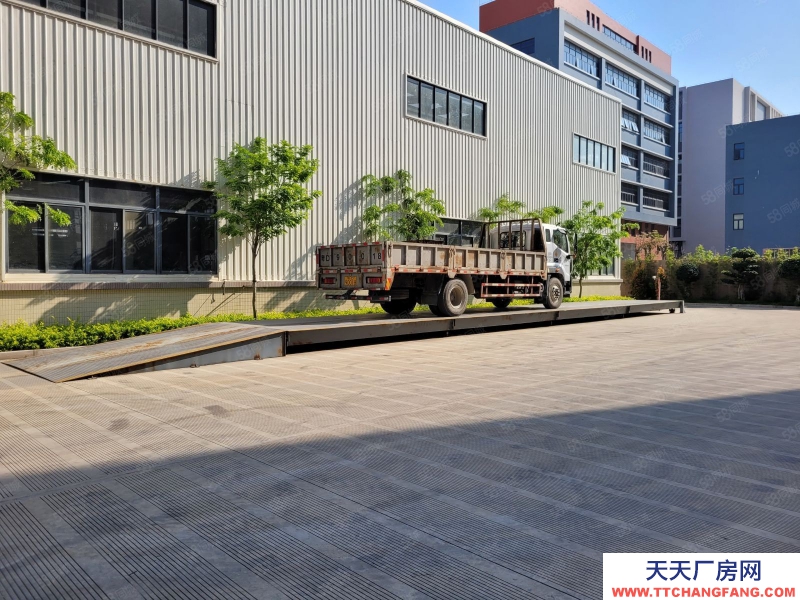 (出租) 汕頭濠江保稅區15000平可分割出租,1樓層高12米配有天車地磅