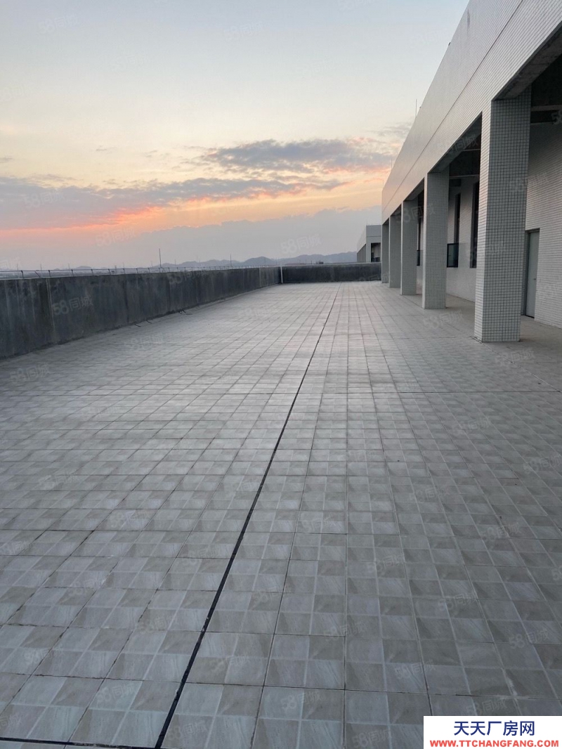 (出租) 汕頭達濠區南沙灣正歸廠房可以分割,月平方16元.