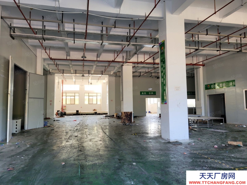 (出租) 汕頭濠江區河浦大道正規廠房，層高6米有大闊埕，近高速出口 可長租