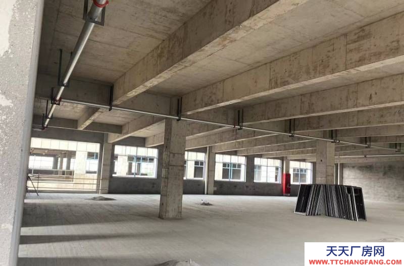 現(xiàn)房！！！德清乾元廠房出售 價格便宜