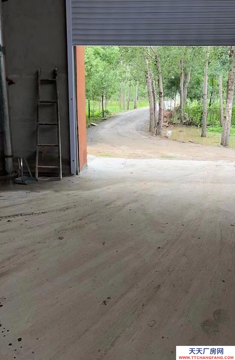 濱州無棣混凝土地面，隨意裝修，交通便利