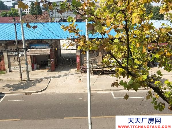 岳陽市君山區 有臨街門面十間，后有廠房院落