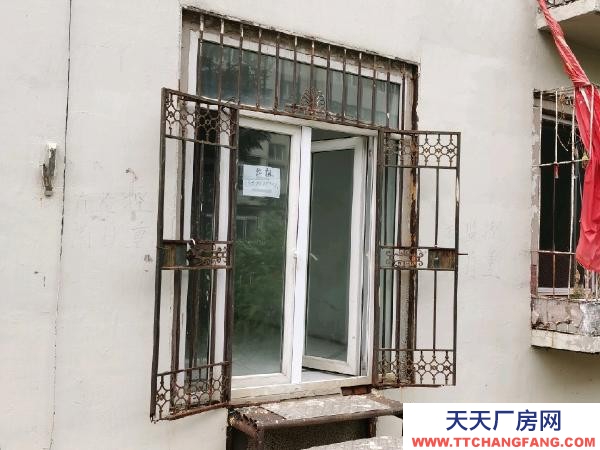 (出租) 豐滿倉庫 辦公室 烽火A區 東林花園下 倉庫113平