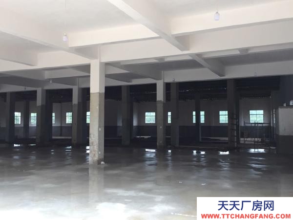 岳陽市汨羅區(qū) 汨羅屈子文化園全新廠房出租