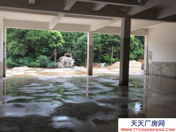 岳陽市汨羅區(qū) 汨羅屈子文化園全新廠房出租