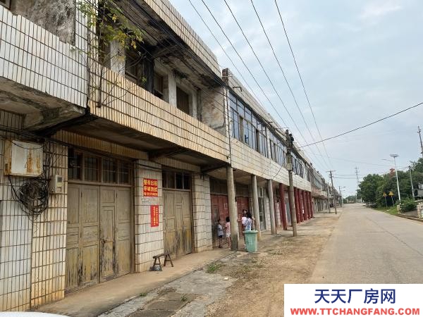 岳陽市汨羅區白塘鄉長山鎮上整棟出售