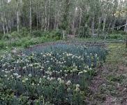 (出售) 房屋證照齊全，交通便利，距離高速口100米左右，新修的水泥路