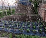 (出售) 房屋證照齊全，交通便利，距離高速口100米左右，新修的水泥路