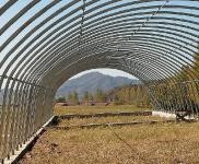 (出租) 蛟河天崗香水河村，獨(dú)門獨(dú)院