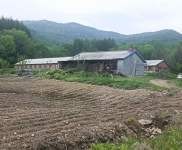 (出售) 吉林蛟河天崗鎮周邊養殖基地