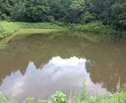 (出售) 吉林蛟河天崗鎮周邊養殖基地