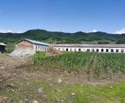 (出售) 低價出售,出租蛟河市慶嶺鎮靠江村小學廠房出租出售