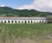 (出售) 低價出售,出租蛟河市慶嶺鎮靠江村小學廠房出租出售