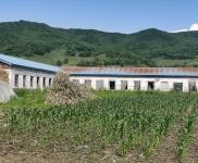 (出售) 低價出售,出租蛟河市慶嶺鎮靠江村小學廠房出租出售