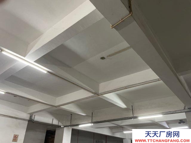 (出租) 汕頭成德工業村1樓倉庫，大型貨車自由出入