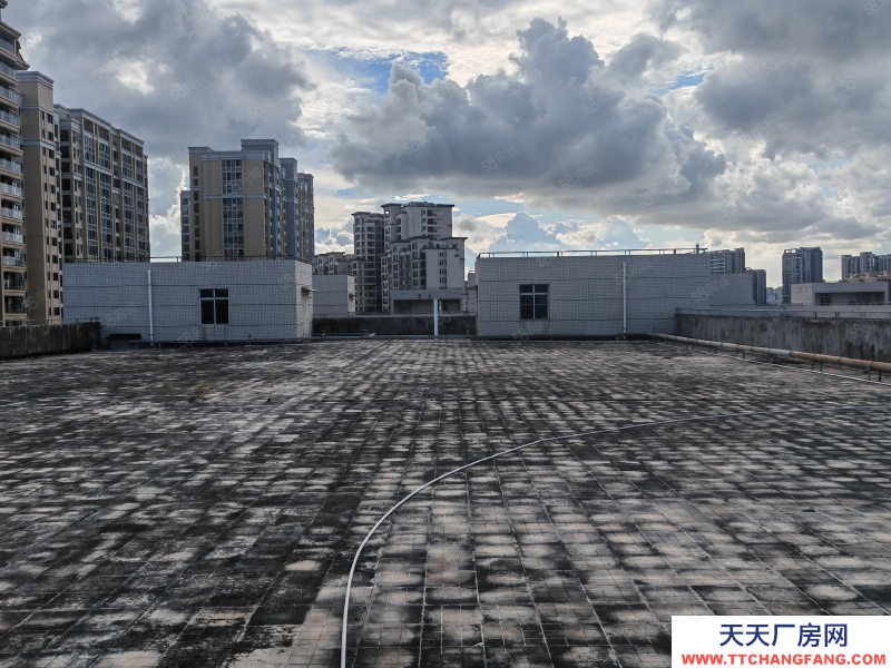 (出租) 汕頭潮汕路邊20畝三面路鋪面辦公倉(cāng)庫(kù)13474平總租分租均可