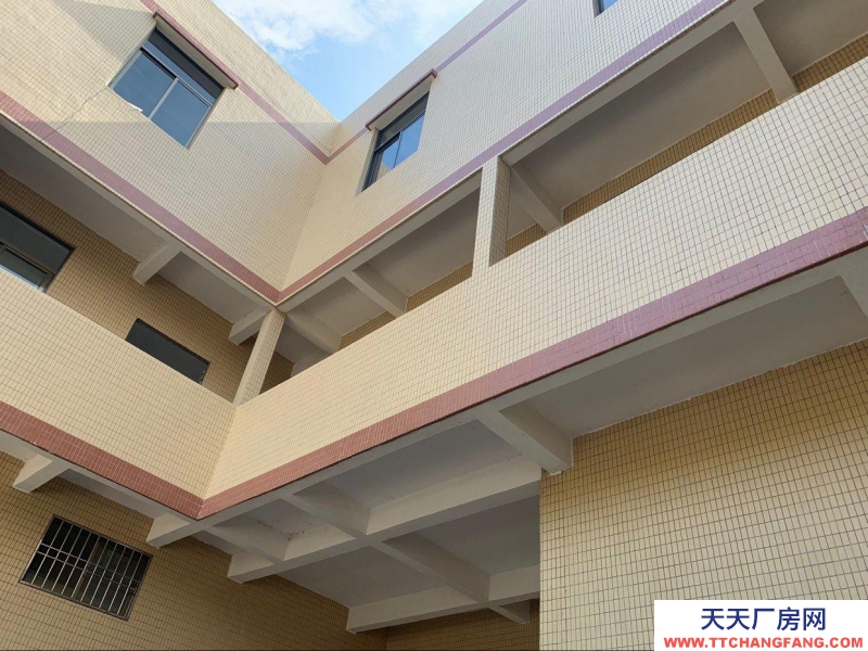 (出租) 汕頭直租鮀浦新獨立倉庫首層高5.6米三層2700平方