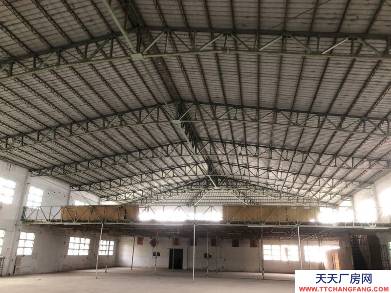 (出租) 汕頭單層鐵棚8米滴水，路道14米，有變壓，可行平板貨柜