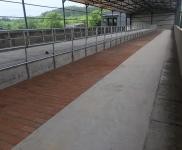 (出租) 倉庫、廠房、養牛棚出租