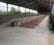 (出租) 倉庫、廠房、養(yǎng)牛棚出租