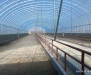 (出租) 舒蘭新建牛場對外租賃，占地面積一萬平，配套設(shè)施齊全，價格面議。