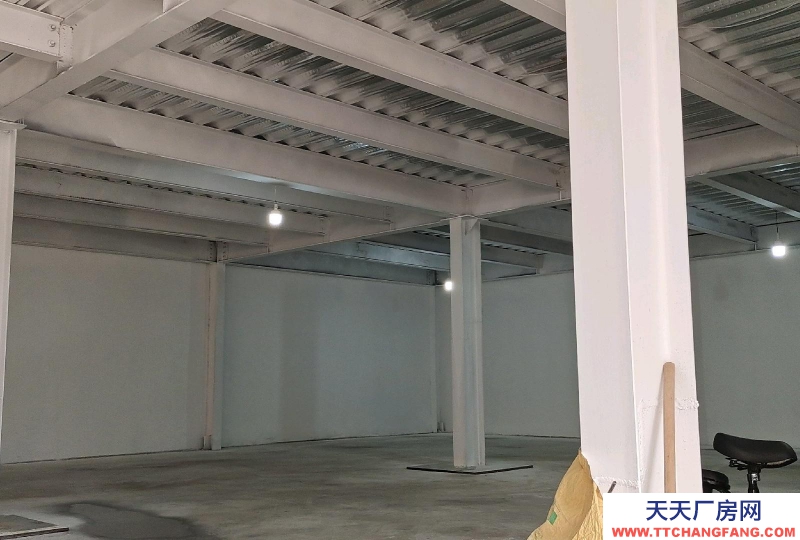 濱州博興倉庫是二層樓房的一層，層高3米，大門高6米