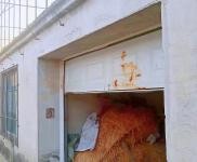 (出售) 鐵西價格面議；有房照；出售外環(huán)勤業(yè)三隊小二層1000平房子；