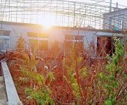 (出售) 鐵西價格面議；有房照；出售外環(huán)勤業(yè)三隊小二層1000平房子；