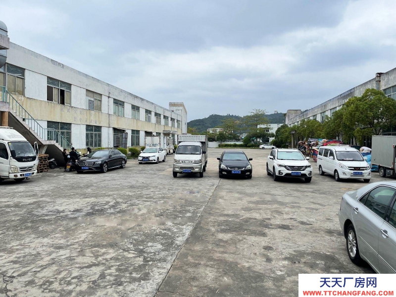 (出租) 汕頭濠江倉庫內有超大停車場