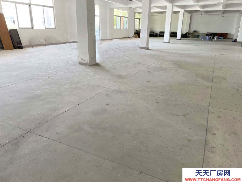 (出租) 汕頭濠江倉庫內(nèi)有超大停車場(chǎng)