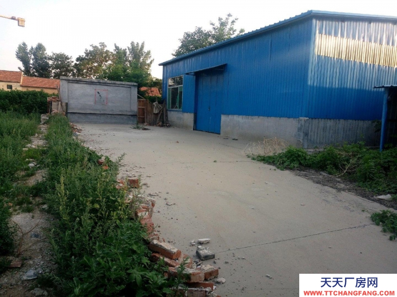 濱州鄒平史營(yíng)村400平方鋼結(jié)構(gòu)大棚，附帶民房，可用做倉(cāng)庫(kù)，水電齊全，