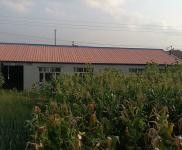 (出租) 出租四平鐵西太平溝七隊 農(nóng)村大院