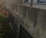 (出租) 出租四平鐵西太平溝七隊 農(nóng)村大院