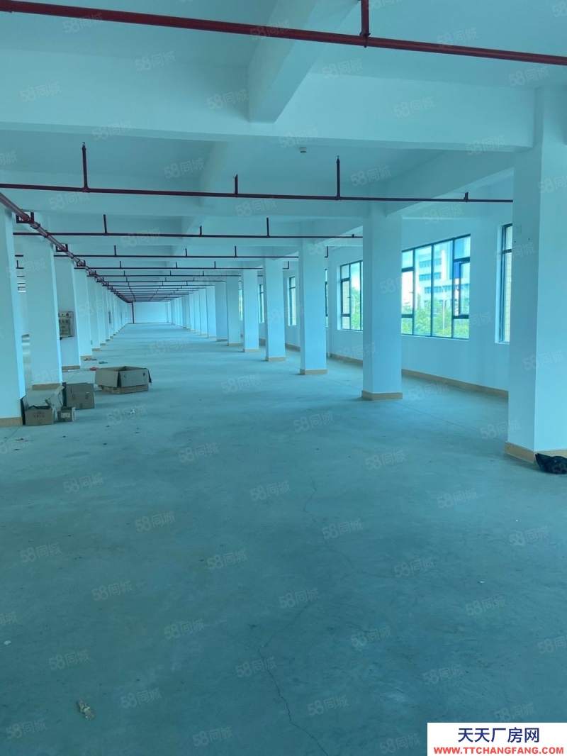 (出售) 高新區(qū)4樓2700平方正歸廠房平方5500元.