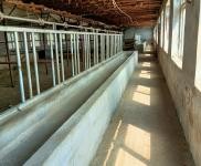 (出售) 鐵東有三項(xiàng)電水井位置四平市鐵東區(qū)永樂(lè)村