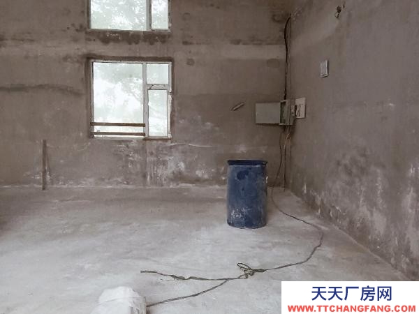 (出租) 長40寬11高5.5米